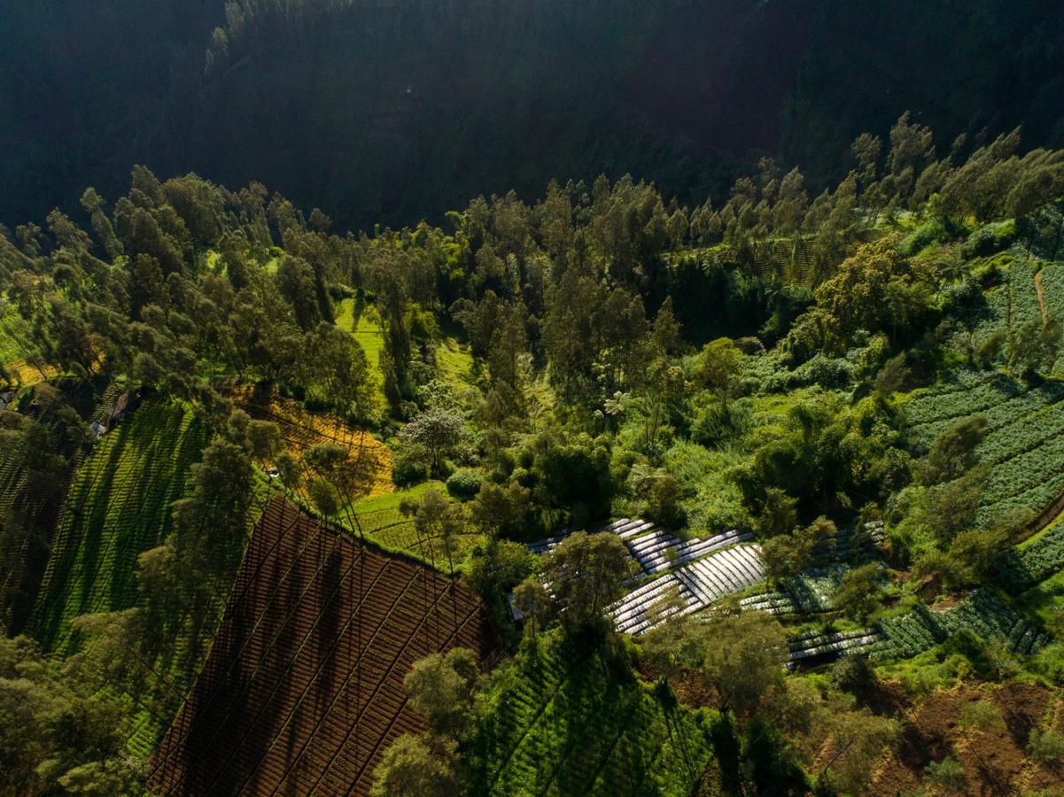 Plataran Bromo Hotel Exterior photo